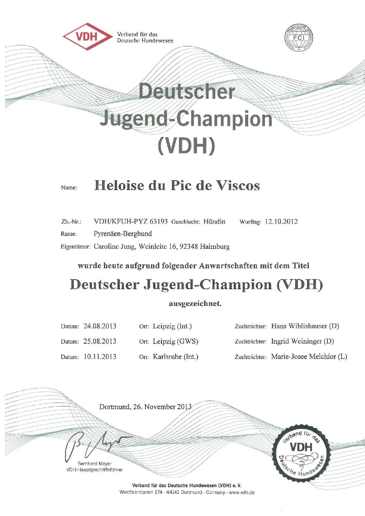Pyrenäenberghund - VDH-Jugendsieger - Dezember 2013 - Gruppenbild